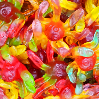 Poulpe Octopus Lisse