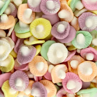 Champignon Fruits