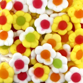 Marguerites Daisies